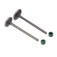 Valvula E Retentor Kit (4pcs) Ww3 Cg 160 16/ - Bros 160 15/