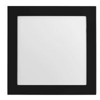 IMG_461.png